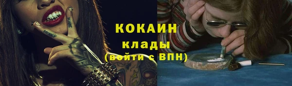 индика Белоозёрский