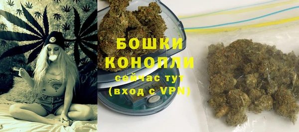 индика Белоозёрский