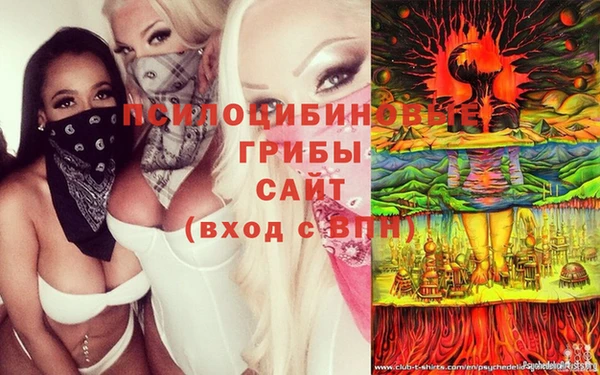 индика Белоозёрский