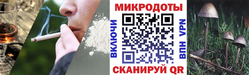 Галлюциногенные грибы Psilocybine cubensis  купить наркотик  Нефтекумск 